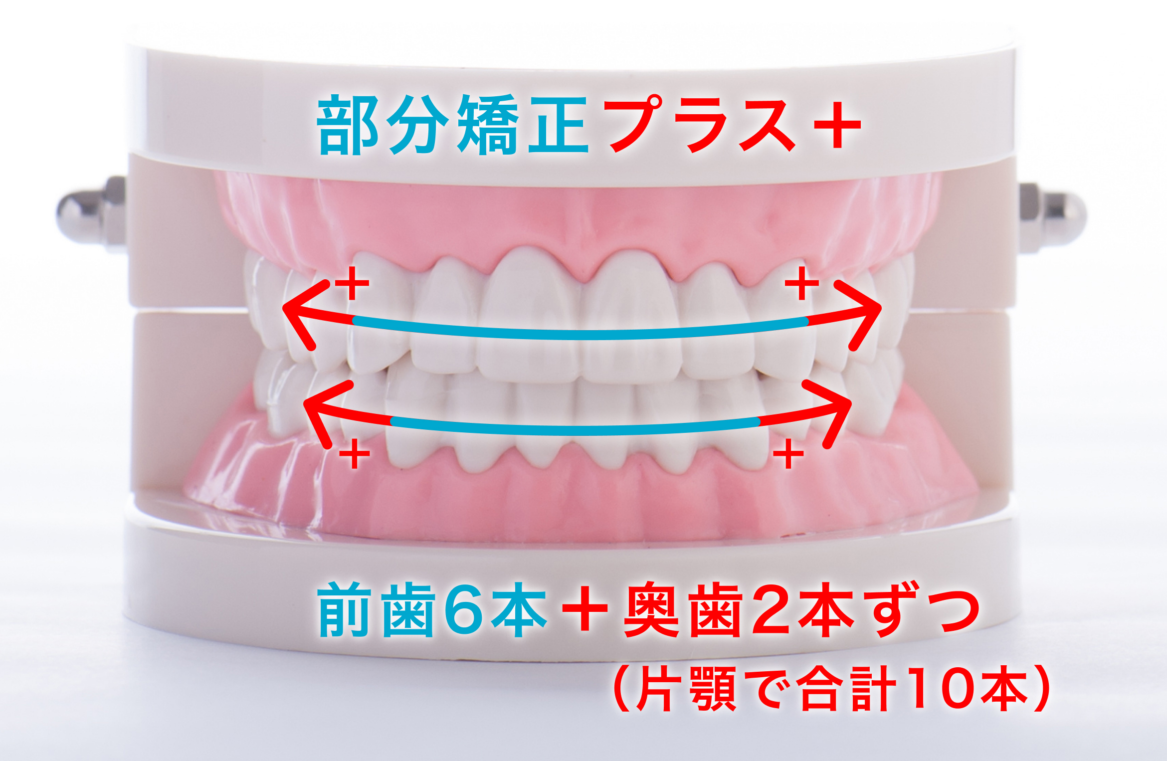 東京銀座ビアンコ矯正歯科 美しく健康な歯へ 即日無料シミュレーション インビザライン認定医在籍 女性歯科医師4名在籍 横顔・Eライン矯正 月々3,300円〜 無料相談受付中